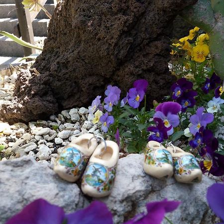 Bed and Breakfast Etma SantʼAlfio Exterior foto
