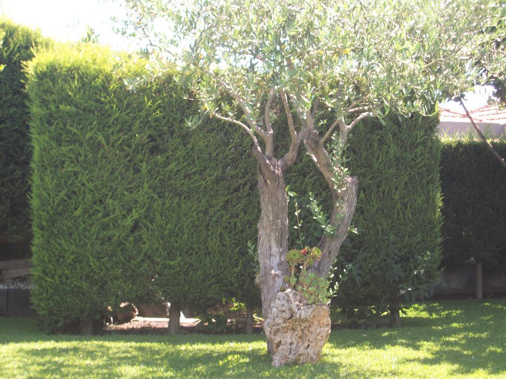 Bed and Breakfast Etma SantʼAlfio Exterior foto